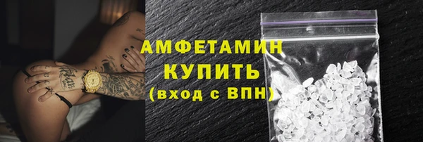 гашик Гусь-Хрустальный
