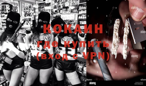 таблы Гусев