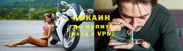 таблы Гусев