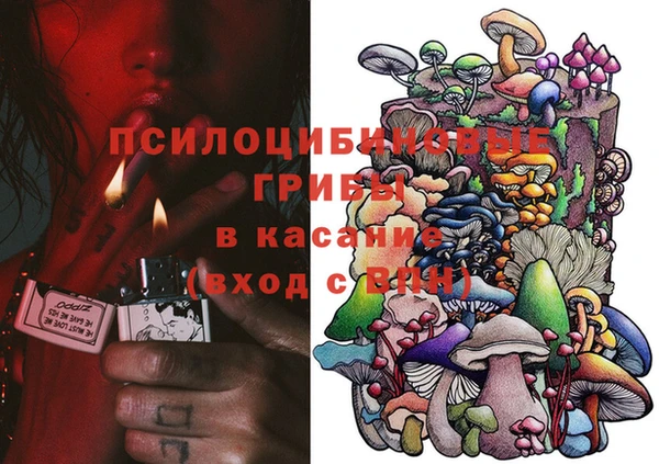 ГАЛЛЮЦИНОГЕННЫЕ ГРИБЫ Гусиноозёрск