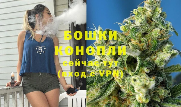 гашик Гусь-Хрустальный