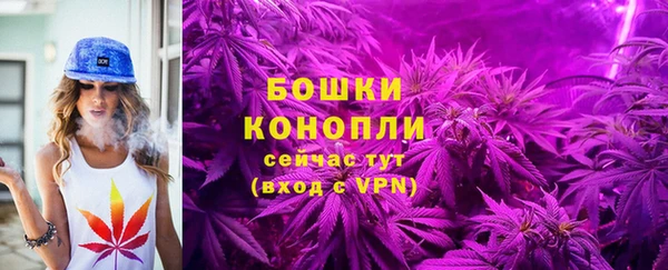 гашик Гусь-Хрустальный
