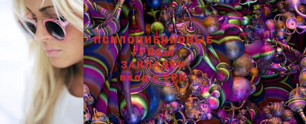 ГАЛЛЮЦИНОГЕННЫЕ ГРИБЫ Гусиноозёрск