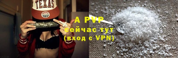 гашик Гусь-Хрустальный