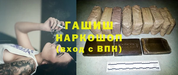 гашик Гусь-Хрустальный