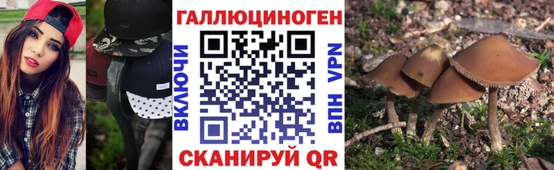 Галлюциногенные грибы Magic Shrooms  Пионерский 